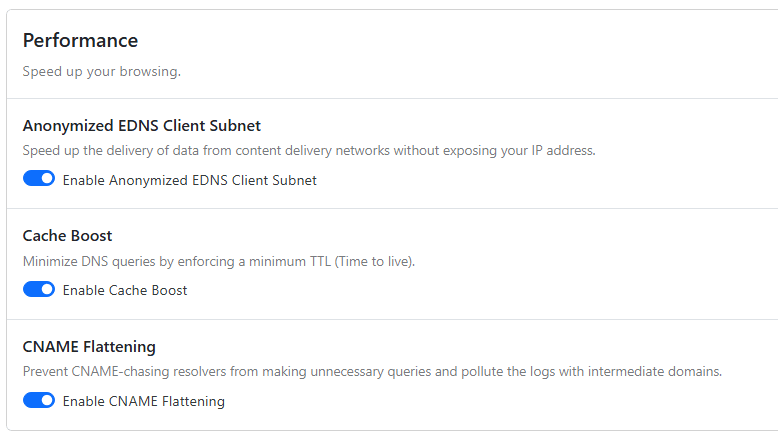 Anonymized EDNS Client Subnet is enabled, Cache Boost is enabled, CNAME Flattening is enabled.